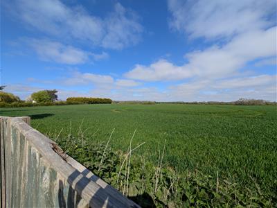 Picture 16